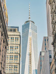 Andrew Ross Gottesman