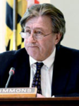 Luiz Simmons Lawyer Reviews and Ratings