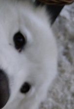 Mark Anderson | Mediation Attorney in 59875, Montana zipcode 59875 Mediation Lawyer - Mark Anderson