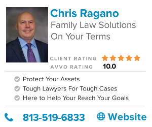 Lawyer David Hoffman Tampa Fl Attorney Avvo